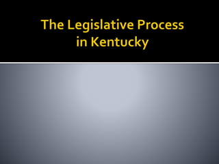 POL 240 State Legislatures