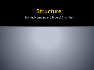 Name, Number, andType of Chamber
 
