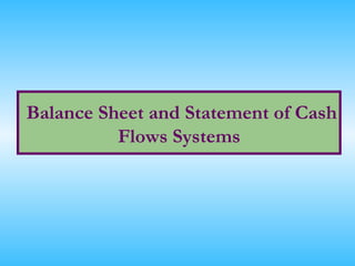Balance Sheet and Statement of Cash
          Flows Systems
 