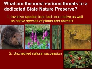 What are the most serious threats to a
dedicated State Nature Preserve?
 1. Invasive species from both non-native as well
    as native species of plants and animals




  2. Unchecked natural succession
 