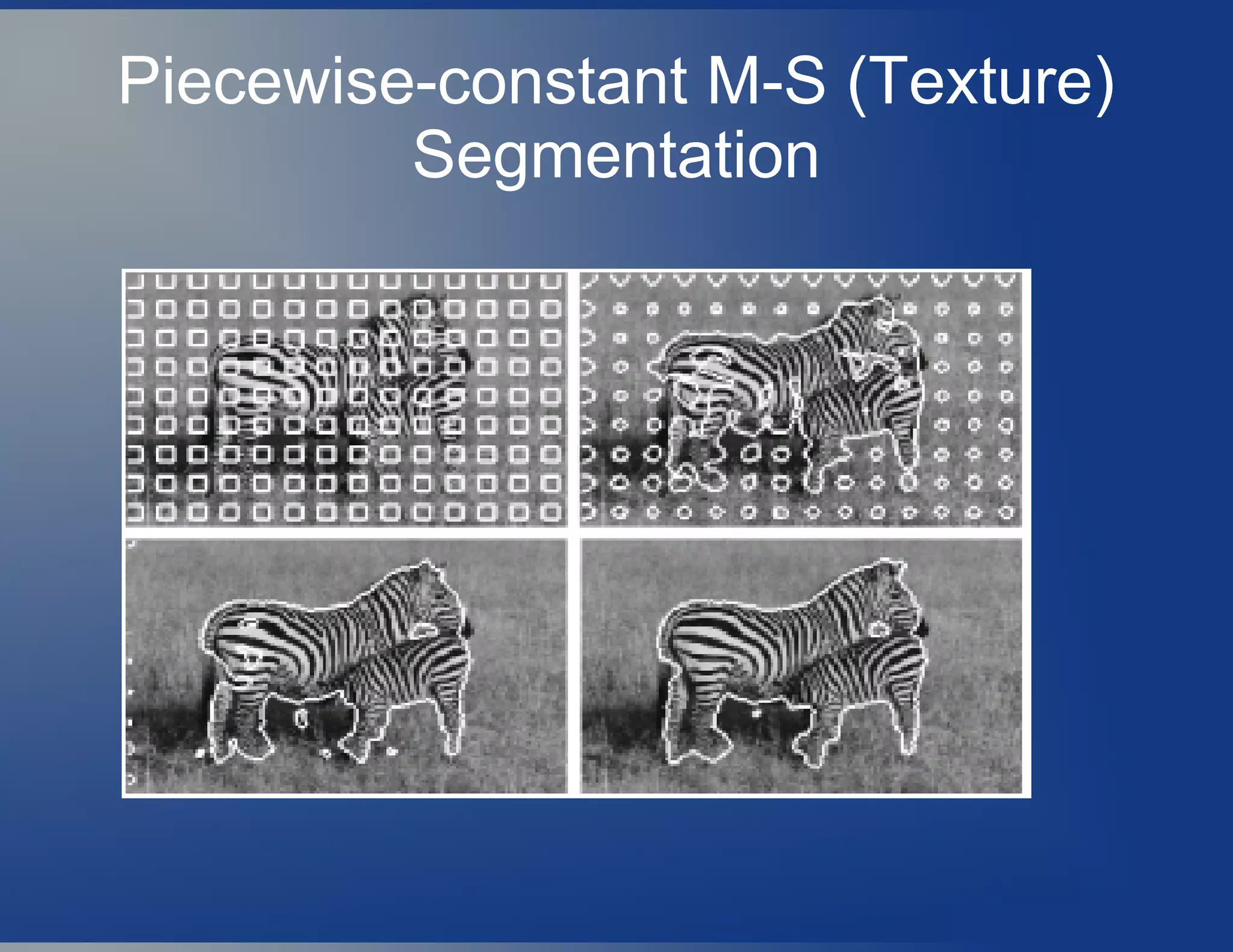 Piecewise-constant M-S (Texture)
Segmentation
 