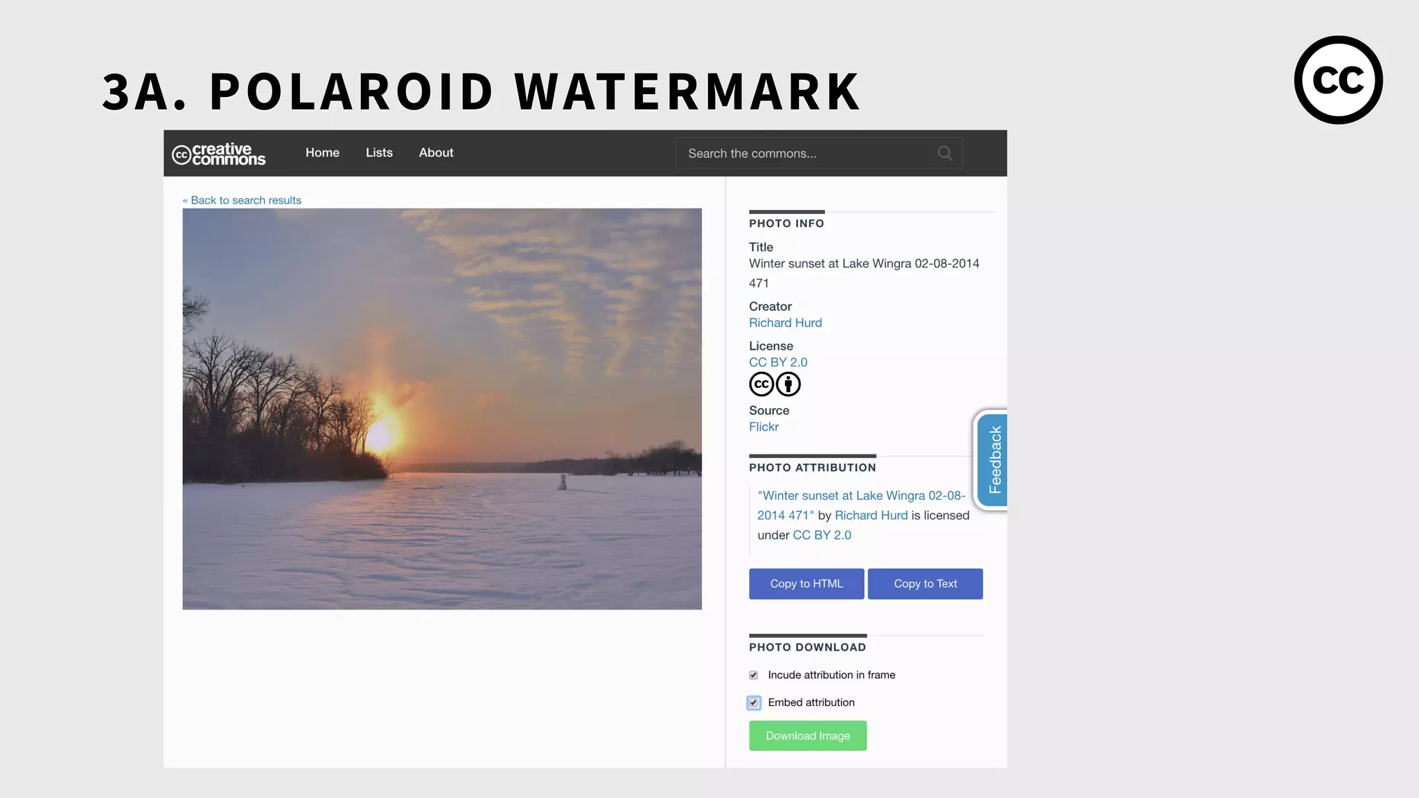 3A. POLAROID WATERMARK
 