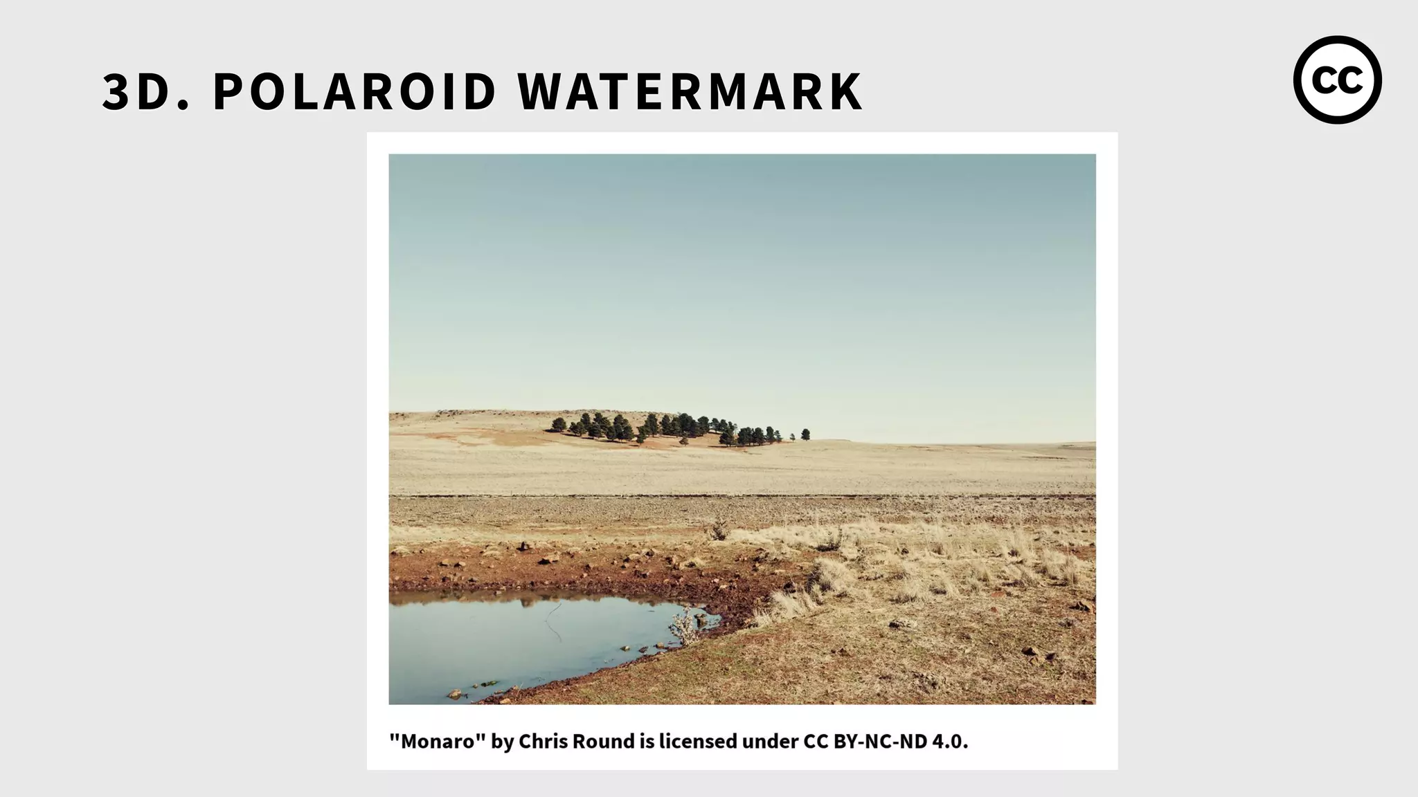 3D. POLAROID WATERMARK
 