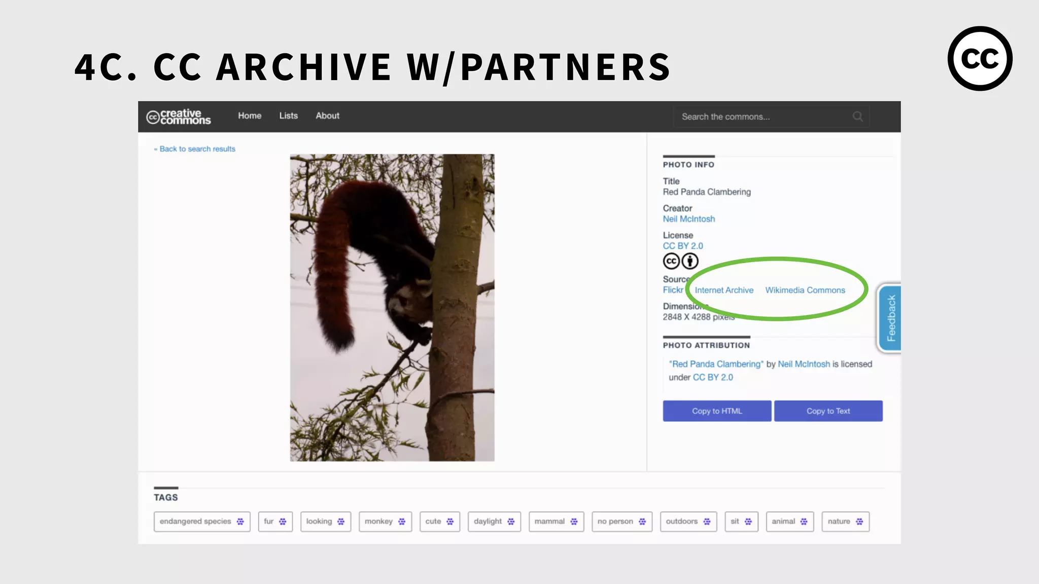 4C. CC ARCHIVE W/PARTNERS
 