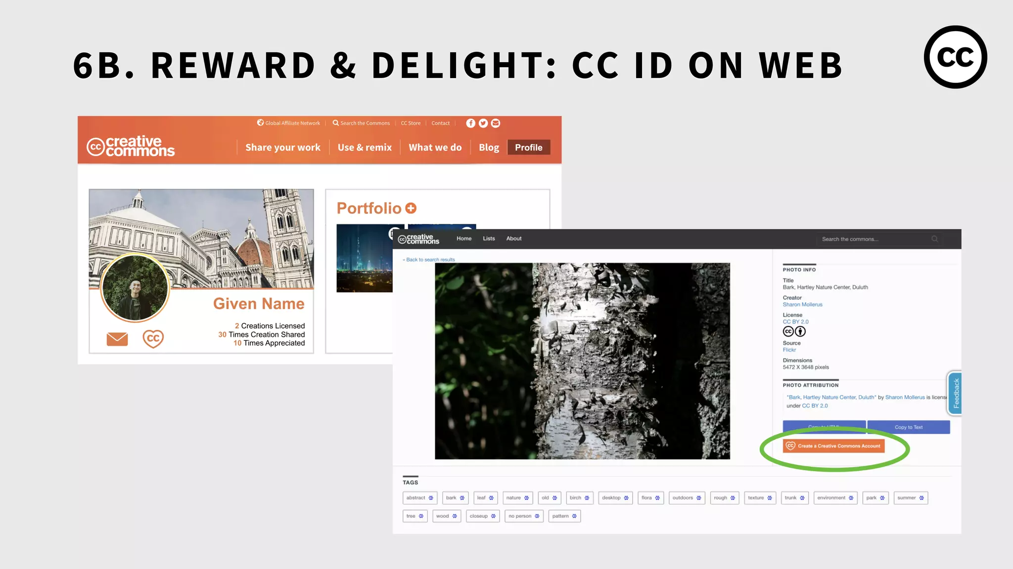 6B. REWARD & DELIGHT: CC ID ON WEB
 