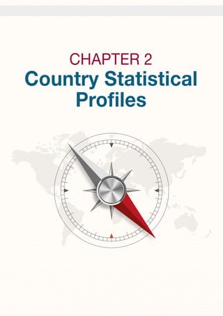 KEY FINDINGS FROM THE REPORT
CHAPTER 2
Country Statistical
Profiles
 