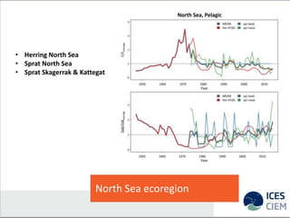 North Sea ecoregion
• Herring North Sea
• Sprat North Sea
• Sprat Skagerrak & Kattegat
 