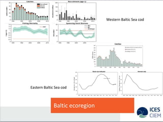 Baltic ecoregion
0
50
100
150
200
250
300
2003 2004 2005 2006 2007 2008 2009 2010 2011 2012 2013 2014 2015
Biomassind.≥30c...