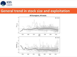 General trend in stock size and exploitation
 