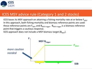 ICES MSY advice rule (Category 1 and 2 stocks)
ICES bases its MSY approach on attaining a fishing mortality rate at or bel...