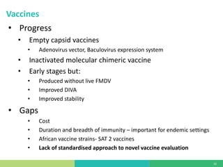 State of foot-and-mouth disease research