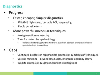State of foot-and-mouth disease research