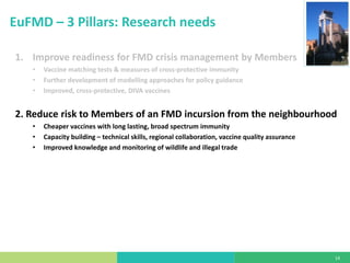 State of foot-and-mouth disease research