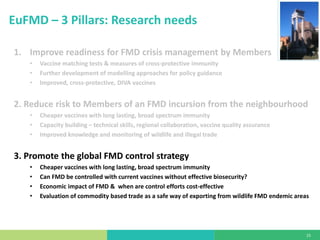 State of foot-and-mouth disease research