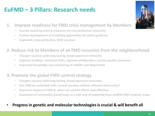 State of foot-and-mouth disease research
