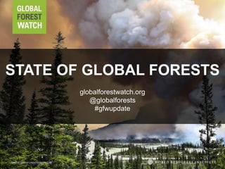 STATE OF GLOBAL FORESTS
globalforestwatch.org
@globalforests
#gfwupdate
PHOTO: SARAH LINDSTROM/FLICKR
 