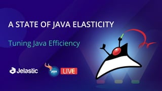 A STATE OF JAVA ELASTICITY
Tuning Java Eﬃciency
 