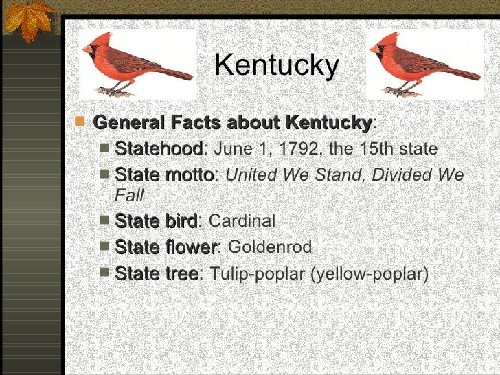 State Of Kentucky