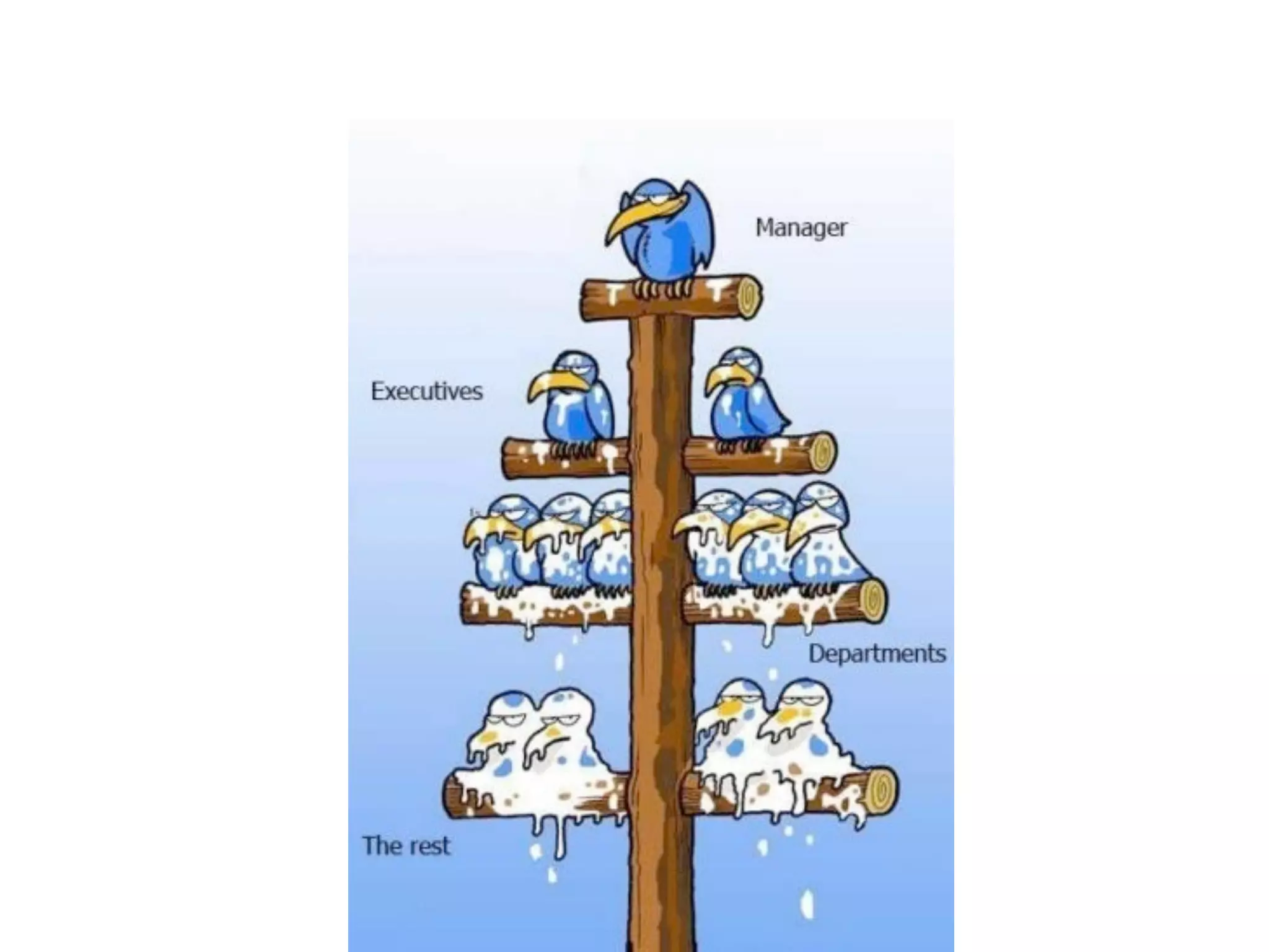 Hierarchies vs. Networks
