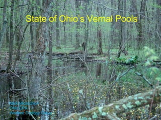 State of Ohio’s Vernal Pools Mick Micacchion Ohio EPA Wetland Ecology Group 