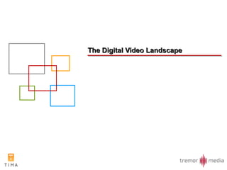 The Digital Video Landscape 