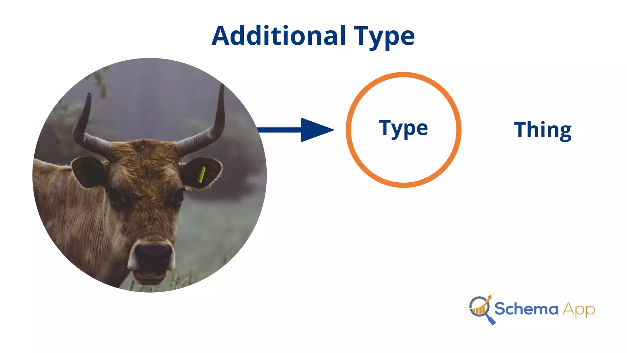 Type Thing
Additional Type
 