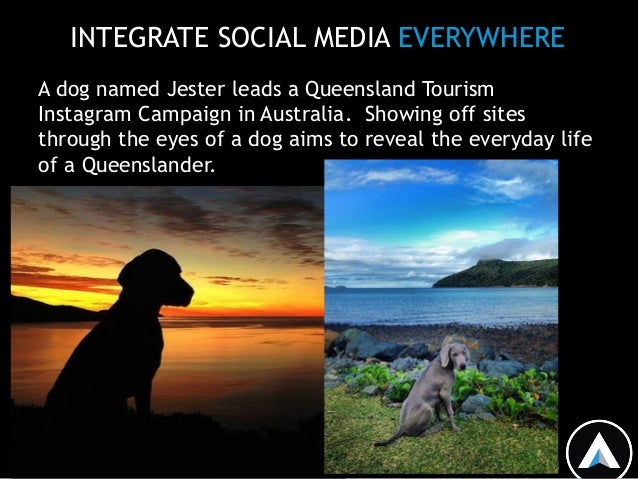 Social Media is the bridge between online and offline ... Social Media is the bridge between online and offline ... - 638 x 479 jpeg 95kB