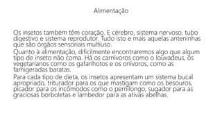 Alimentação
Os insetos também têm coração. E cérebro, sistema nervoso, tubo
digestivo e sistema reprodutor. Tudo isto e mais aquelas anteninhas
que são órgãos sensoriais multiuso.
Quanto à alimentação, dificilmente encontraremos algo que algum
tipo de inseto não coma. Há os carnívoros como o louvadeus, os
vegetarianos como os gafanhotos e os onívoros, como as
famigeradas baratas.
Para cada tipo de dieta, os insetos apresentam um sistema bucal
apropriado, triturador para os que mastigam como os besouros,
picador para os incômodos como o pernilongo, sugador para as
graciosas borboletas e lambedor para as ativas abelhas.
 