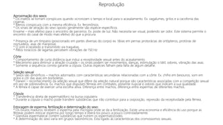 Reprodução
Aproximação dos sexos
* Os insetos se tornam conspícuos quando sicronizam o tempo e local para o acasalamento. Ex. vagalumes, grilos e a cacofonia das
cigarras.
* Menos conspícuos com a mesma eficiência. Ex. feromônios.
* Os sinais de atração do sexo oposto geralmente são espécie-específicos
Enxame – mais efetivo para o encontro de parceiros. Ex. poste de luz. Não necessita ser visual, podendo ser odor. Este sistema permite o
encontro do casal de modo mais efetivo do que a procura.
* Presença de um tímpano (posicionado em partes diversas do corpo) ex. tíbias em pernas protorácias de ortópteros, protórax de
noctuídeos, asas de mariposas
* O som é recebido e transmitido via traquéias.
* Pêlos torácicos de lagartas percebem vibrações de 150 Hz
Côrte
* Comportamento de curta distância que induz a receptividade sexual antes do acasalamento.
* Mecanismo para diminuir a atração cruzada – os sinais podem ser movimentos, danças, estimulação o tátil, odores, vibração das asas.
* Somente a sequência correta garante a cópula. Outras espécies falham pela falta de algum detalhe.
Seleção sexual
* Sexos são dimórficos – machos adornados com características secundárias relacionadas com a côrte. Ex. chifre em besouros, som em
grilos e côr das asas em borboletas.
* Darwin – reconhecimento da seleção sexual que difere da seleção natural porque são características associadas com a competição sexual
em vez de sobrevivência. Ex. machos que disputam fêmeas em combates, presente nupcial e odores que indicam a sua qualidade.
* A fêmea é capaz de exercer uma escolha ativa. Diferença entre machos, diferença entre espermas de diferentes machos.
Cópula
* Transferência direta de espermatóforo na bursa copulatrix
* Durante a cópula o macho pode transferir substâncias que irão contribuir para a oviposição, repressão da receptividade pela fêmea.
Estocagem de esperma, fertilização e determinação do sexo
* Os óvulos maduros recebem o esperma pela micrópila onde se da a fertilização. Existe uma economia e eficiência do uso porque as
fêmeas podem estocar esperma por longo tempo e liberá-los pouco a pouco controladamente.
* Glandula espermatecal contém substâncias que nutrem os espermatozoides.
* A determinação do sexo varia em grupos taxonômicos. Esta ligado às características dos cromossomos sexuais.
 