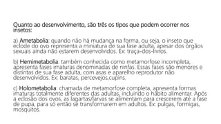 Quanto ao desenvolvimento, são três os tipos que podem ocorrer nos
insetos:
a) Ametabolia: quando não há mudança na forma, ou seja, o inseto que
eclode do ovo representa a miniatura de sua fase adulta, apesar dos órgãos
sexuais ainda não estarem desenvolvidos. Ex: traça-dos-livros.
b) Hemimetabolia: também conhecida como metamorfose incompleta,
apresenta fases imaturas denominadas de ninfas. Essas fases são menores e
distintas de sua fase adulta, com asas e aparelho reprodutor não
desenvolvidos. Ex: baratas, percevejos,cupins.
c) Holometabolia: chamada de metamorfose completa, apresenta formas
imaturas totalmente diferentes das adultas, incluindo o hábito alimentar. Após
a eclosão dos ovos, as lagartas/larvas se alimentam para crescerem até a fase
de pupa, para só então se transformarem em adultos. Ex: pulgas, formigas,
mosquitos.
 