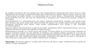 Metamorfose
Os estados prematuros de uma espécie que sofre metamorfoses é designado pelo termo larva ou ninfa,
dependendo da natureza do desenvolvimento pós-embrionário da espécie. Alguns insetos nascem já com
a forma geral do adulto (ninfa), e a metamorfose até a forma adulta é normalmente marcada pelo
desenvolvimento de asas. Este tipo de metamorfose é designado por metamorfose gradual, simples ou
incompleta.
Holometabolismo é o desenvolvimento dos insetos mediante metamorfose completa, com quatro fases
bem distintas: ovo; larva, estado bem ativo; entrando de seguida num estado inativo conhecido por pupa;
emergindo finalmente para adulto. Esses insetos compreendem uma divisão e são chamados
de holometabólicos.
Algumas espécies de escaravelhos e algumas da ordem Strepsiptera sofrem hipermetamorfoses, com uma
sequência de formas larvares precedendo o estado de pupa.
Relativamente à questão se o inseto passa mais tempo na forma adulta ou na forma juvenil, depende da
espécie. Exemplos notáveis são por exemplo as efémeras cujos estados adultos reduzem-se a um dia, ou
então o caso das cigarras, cujos estados juvenis subterrâneos prolongam-se durante 17 dias. Apesar disso
esta espécie tem uma metamorfose legal incompleta. Geralmente nas espécies nas quais a vida adulta é
mais longa que a vida juvenil, estas sofrem metamorfoses complexas.
Observação: Os termos lagarta e crisálida são sinônimos de larva e pupa, respectivamente, quando se
referem à ordem lepidoptera.
 