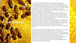 Importância
É difícil, mas não impossível estimar o valor dos insetos para
a sociedade humana em dólares. O serviço de polinização gira em
torno de $19 bilhões de dólares por ano somente nos Estados Unidos,
e os produtos comerciais por eles gerados em torno de $300 milhões
de dólares por ano. Sem levar em conta o papel dos insetos
entomófagos, como controladores naturais das populações de outros
insetos que podem constituir pragas.
Alguns insetos têm importância médica por causarem doenças em
animais ou em homens, outros por estarem sendo utilizados para o
tratamento de doenças. O estudo dos insetos têm ajudado muitos
cientistas a resolverem problemas relacionados com hereditariedade,
evolução, sociologia e outras questões mais.
Muitos insetos são importantes por fazerem parte da teia trófica de
outros animais de interesse para a nossa sociedade, como algumas
aves, peixes e alguns mamíferos. Em alguns lugares do mundo ainda,
os insetos servem de alimento para humanos diretamente
(gafanhoto), ou indiretamente (mel de abelha, mel de formigas, entre
outros).
Os insetos geram diversos benefícios para o homem, assim como em
todos os ecossistemas onde estão presentes. Por exemplo, a
reprodução sexuada em algumas angiospermas só é possível graças
aos polinizadores. Eles estão presente em todos os níveis tróficos, com
exceção dos produtores (consumidores de primeira ordem
(herbívoros): grilo, consumidores de segunda ordem (predadores):
percevejos, consumidores de terceira ordem (parasitóides):
Hymenoptera, consumidores de quarta ordem (hiperparasitóides):
Hymenoptera, Detritívoros: cupins).
 