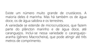 Existe um número muito grande de crustáceos. A
maioria deles é marinha. Mas há também os de água
doce, os de água salobra e os terrestres.
A variedade se estende de microcrustáceos, que fazem
parte do plâncton marinho e de água doce, até
caranguejos. Inclui-se nessa variedade o caranguejo-
aranha (gênero Macrocheira), que pode atingir até três
metros de comprimento.
 