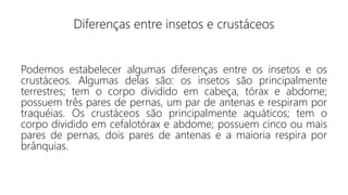 Diferenças entre insetos e crustáceos
Podemos estabelecer algumas diferenças entre os insetos e os
crustáceos. Algumas delas são: os insetos são principalmente
terrestres; tem o corpo dividido em cabeça, tórax e abdome;
possuem três pares de pernas, um par de antenas e respiram por
traquéias. Os crustáceos são principalmente aquáticos; tem o
corpo dividido em cefalotórax e abdome; possuem cinco ou mais
pares de pernas, dois pares de antenas e a maioria respira por
brânquias.
 