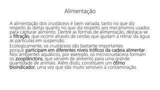 Alimentação
A alimentação dos crustáceos é bem variada, tanto no que diz
respeito às dietas quanto no que diz respeito aos mecanismos usados
para capturar alimento. Dentre as formas de alimentação, destaca-se
a filtração, que ocorre através de cerdas que ajudam a retirar da água
as partículas em suspensão.
Ecologicamente, os crustáceos são bastante importantes
porque participam em diferentes níveis tróficos da cadeia alimentar.
Nos ambientes aquáticos, por exemplo, os microcrustáceos formam
os zooplânctons, que servem de alimento para uma grande
quantidade de animais. Além disso, constituem um ótimo
bioindicador, uma vez que são muito sensíveis à contaminação.
 