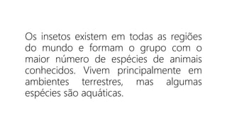 Os insetos existem em todas as regiões
do mundo e formam o grupo com o
maior número de espécies de animais
conhecidos. Vivem principalmente em
ambientes terrestres, mas algumas
espécies são aquáticas.
 