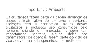 Importância Ambiental
Os crustaceos fazem parte da cadeia alimentar de
outros animais, alem de ter uma importancia
ecologica tem a economica, alguns desses
crustaceos e moluscos sao consumidos pelo
homem, criando um mercado. Tambem tem
importancioa sanitaria, alguns deles sao
transmissores de doencas, fazem parte do ciclo de
vida , servem como hospedeiros intermediarios.
 