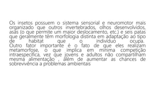Os insetos possuem o sistema sensorial e neuromotor mais
organizado que outros invertebrados, olhos desenvolvidos,
asas (o que permite um maior deslocamento, etc.) e seis patas
que geralmente têm morfologia distinta em adaptação ao tipo
de habitat que o indivíduo ocupa.
Outro fator importante é o fato de que eles realizam
metamorfose, o que implica em mínima competição
intraespecífica, vez que jovens e adultos não compartilham
mesma alimentação , além de aumentar as chances de
sobrevivência a problemas ambientais
 