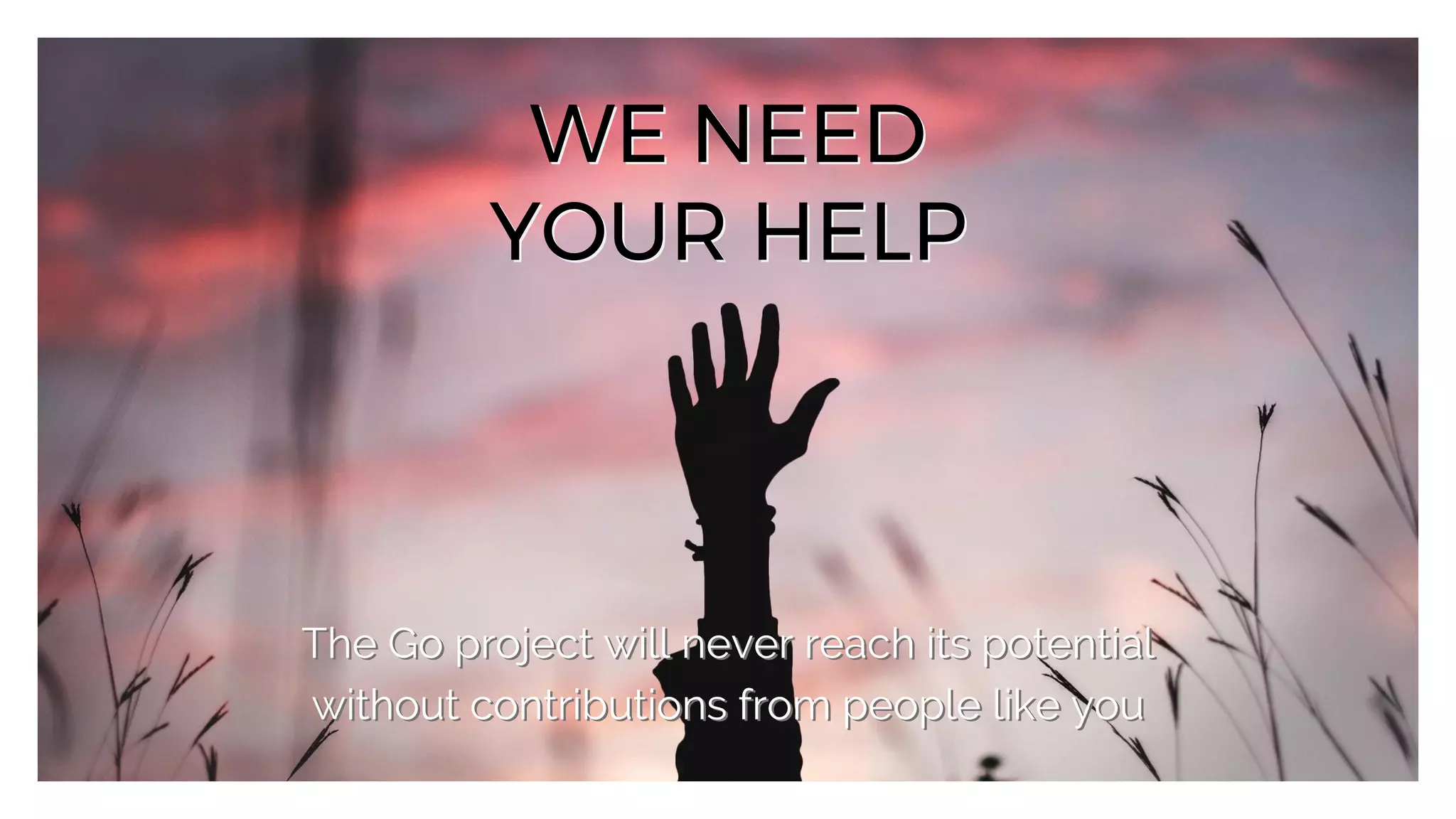 The Go project will never reach its potential
without contributions from people like you
The Go project will never reach its potential
without contributions from people like you
WE NEED
YOUR HELP
WE NEED
YOUR HELP
 