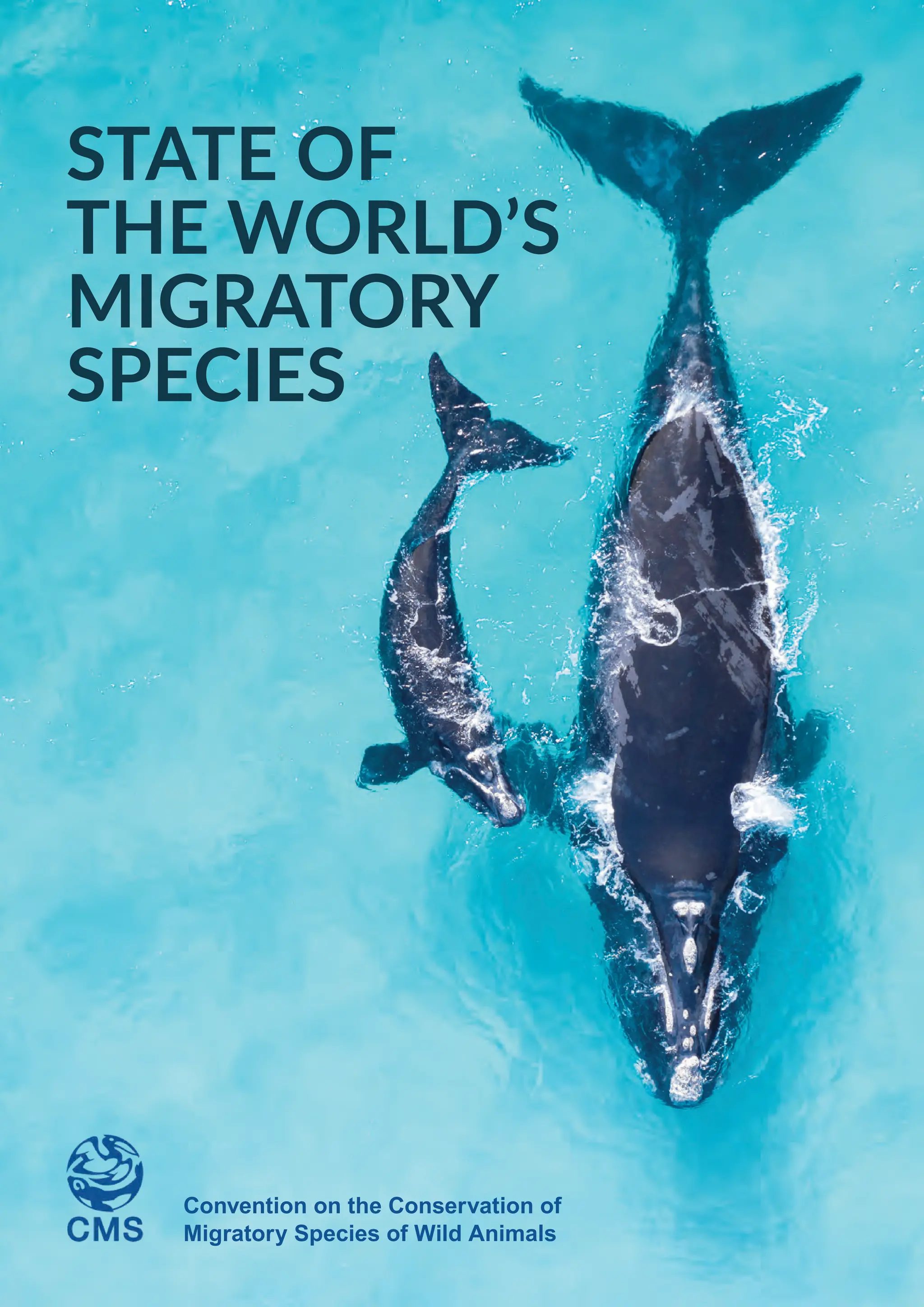 STATE OF
THE WORLD’S
MIGRATORY
SPECIES
Convention on the Conservation of
Migratory Species of Wild Animals
 