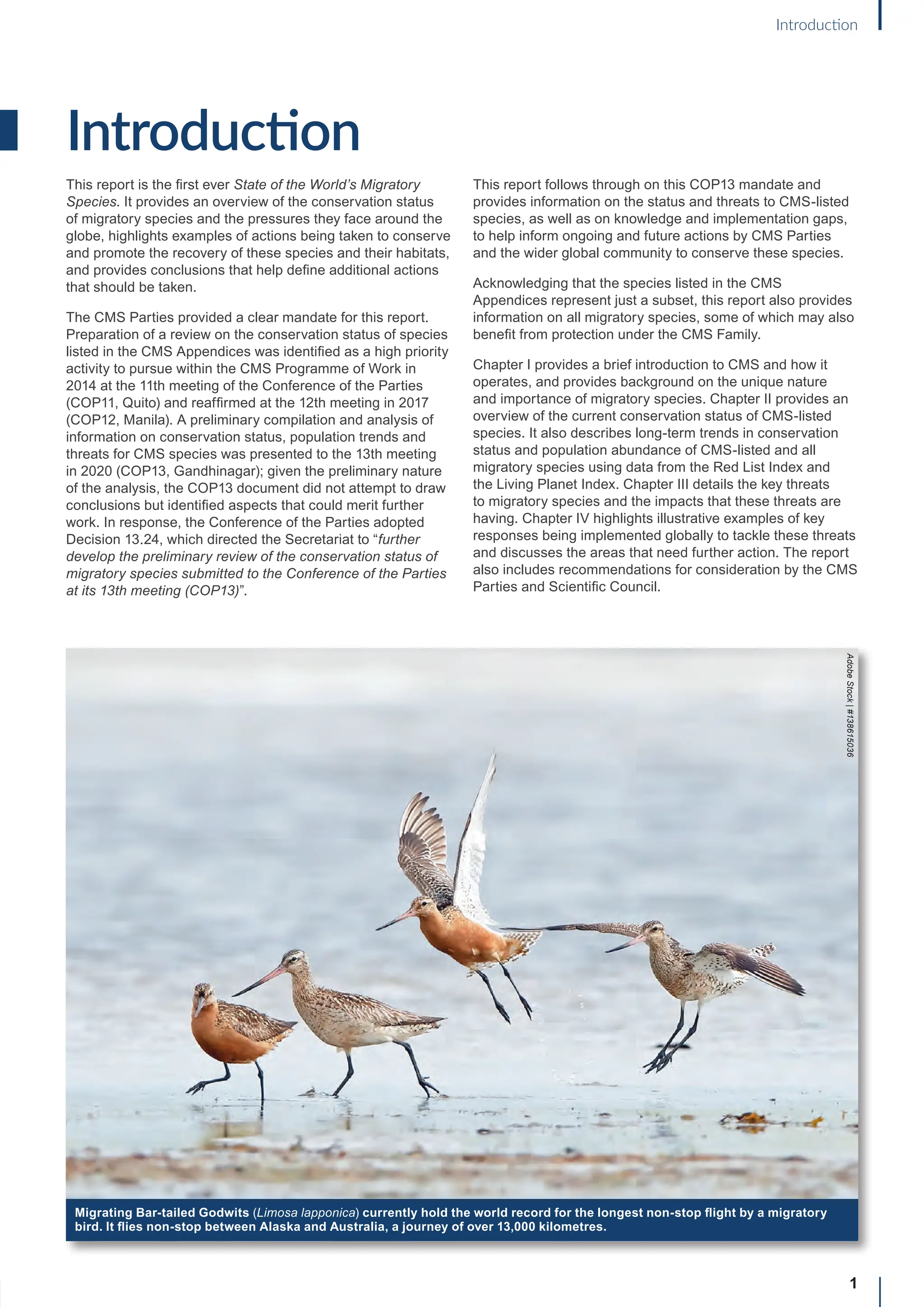 Introduction
This report is the first ever State of the World’s Migratory
Species. It provides an overview of the conservation status
of migratory species and the pressures they face around the
globe, highlights examples of actions being taken to conserve
and promote the recovery of these species and their habitats,
and provides conclusions that help define additional actions
that should be taken.
The CMS Parties provided a clear mandate for this report.
Preparation of a review on the conservation status of species
listed in the CMS Appendices was identified as a high priority
activity to pursue within the CMS Programme of Work in
2014 at the 11th meeting of the Conference of the Parties
(COP11, Quito) and reaffirmed at the 12th meeting in 2017
(COP12, Manila). A preliminary compilation and analysis of
information on conservation status, population trends and
threats for CMS species was presented to the 13th meeting
in 2020 (COP13, Gandhinagar); given the preliminary nature
of the analysis, the COP13 document did not attempt to draw
conclusions but identified aspects that could merit further
work. In response, the Conference of the Parties adopted
Decision 13.24, which directed the Secretariat to “further
develop the preliminary review of the conservation status of
migratory species submitted to the Conference of the Parties
at its 13th meeting (COP13)”.
This report follows through on this COP13 mandate and
provides information on the status and threats to CMS-listed
species, as well as on knowledge and implementation gaps,
to help inform ongoing and future actions by CMS Parties
and the wider global community to conserve these species.
Acknowledging that the species listed in the CMS
Appendices represent just a subset, this report also provides
information on all migratory species, some of which may also
benefit from protection under the CMS Family.
Chapter I provides a brief introduction to CMS and how it
operates, and provides background on the unique nature
and importance of migratory species. Chapter II provides an
overview of the current conservation status of CMS-listed
species. It also describes long-term trends in conservation
status and population abundance of CMS-listed and all
migratory species using data from the Red List Index and
the Living Planet Index. Chapter III details the key threats
to migratory species and the impacts that these threats are
having. Chapter IV highlights illustrative examples of key
responses being implemented globally to tackle these threats
and discusses the areas that need further action. The report
also includes recommendations for consideration by the CMS
Parties and Scientific Council.
1
Introduction
Migrating Bar-tailed Godwits (Limosa lapponica) currently hold the world record for the longest non-stop flight by a migratory
bird. It flies non-stop between Alaska and Australia, a journey of over 13,000 kilometres.
Adobe
Stock
|
#138615036
 