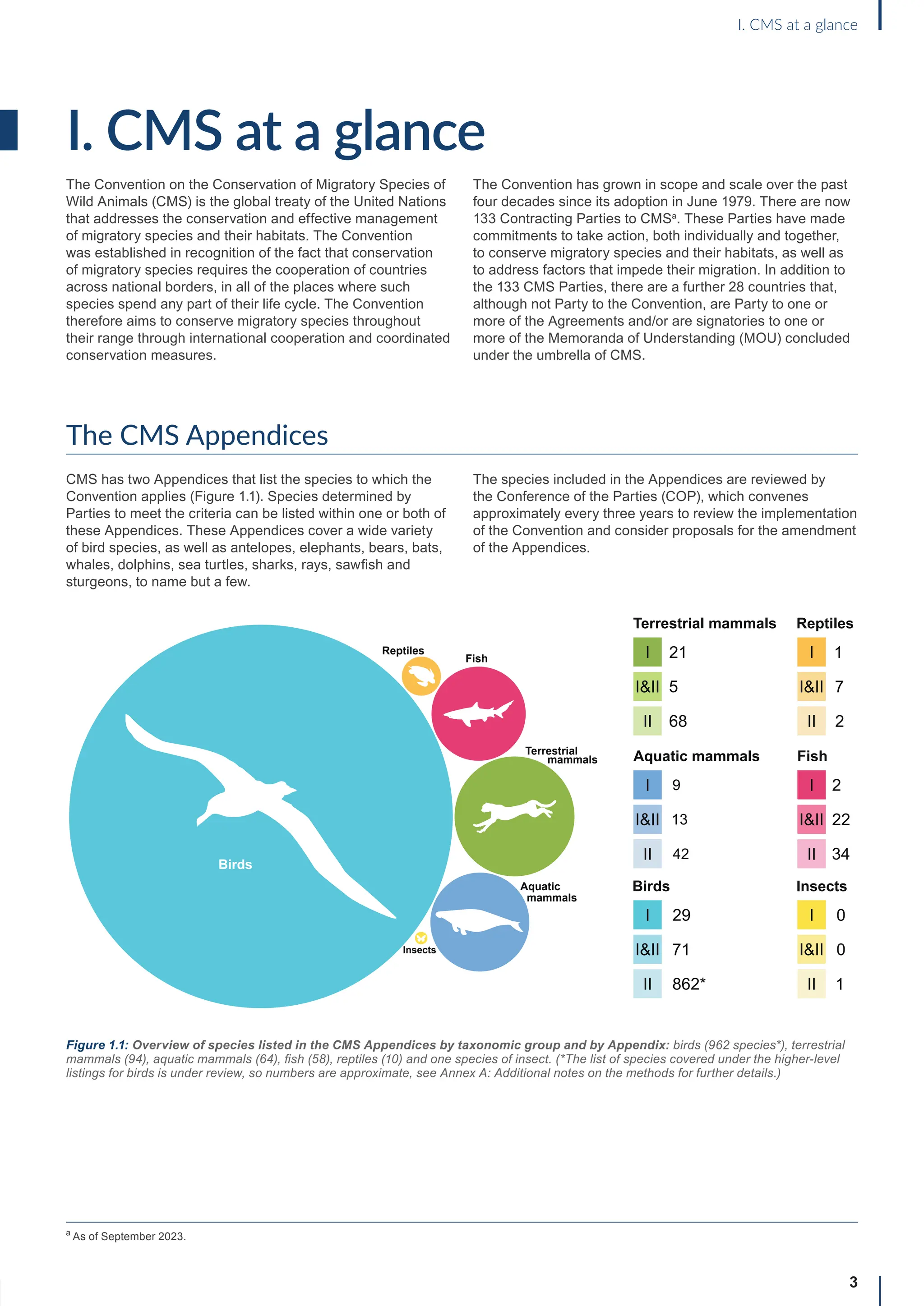 I. CMS at a glance
The Convention on the Conservation of Migratory Species of
Wild Animals (CMS) is the global treaty of the United Nations
that addresses the conservation and effective management
of migratory species and their habitats. The Convention
was established in recognition of the fact that conservation
of migratory species requires the cooperation of countries
across national borders, in all of the places where such
species spend any part of their life cycle. The Convention
therefore aims to conserve migratory species throughout
their range through international cooperation and coordinated
conservation measures.
The Convention has grown in scope and scale over the past
four decades since its adoption in June 1979. There are now
133 Contracting Parties to CMSa
. These Parties have made
commitments to take action, both individually and together,
to conserve migratory species and their habitats, as well as
to address factors that impede their migration. In addition to
the 133 CMS Parties, there are a further 28 countries that,
although not Party to the Convention, are Party to one or
more of the Agreements and/or are signatories to one or
more of the Memoranda of Understanding (MOU) concluded
under the umbrella of CMS.
The CMS Appendices
CMS has two Appendices that list the species to which the
Convention applies (Figure 1.1). Species determined by
Parties to meet the criteria can be listed within one or both of
these Appendices. These Appendices cover a wide variety
of bird species, as well as antelopes, elephants, bears, bats,
whales, dolphins, sea turtles, sharks, rays, sawfish and
sturgeons, to name but a few.
The species included in the Appendices are reviewed by
the Conference of the Parties (COP), which convenes
approximately every three years to review the implementation
of the Convention and consider proposals for the amendment
of the Appendices.
3
I. CMS at a glance
Figure 1.1: Overview of species listed in the CMS Appendices by taxonomic group and by Appendix: birds (962 species*), terrestrial
mammals (94), aquatic mammals (64), fish (58), reptiles (10) and one species of insect. (*The list of species covered under the higher-level
listings for birds is under review, so numbers are approximate, see Annex A: Additional notes on the methods for further details.)
Terrestrial
Aquatic
Birds
Reptiles
Fish
Insects
mammals
mammals
21
Terrestrial mammals
5
68
I
I&II
II
9
Aquatic mammals
13
42
I
I&II
II
29
Birds
71
862*
I
I&II
II
1
Reptiles
7
2
I
I&II
II
2
Fish
22
34
I
I&II
II
0
Insects
0
1
I
I&II
II
a
As of September 2023.
 