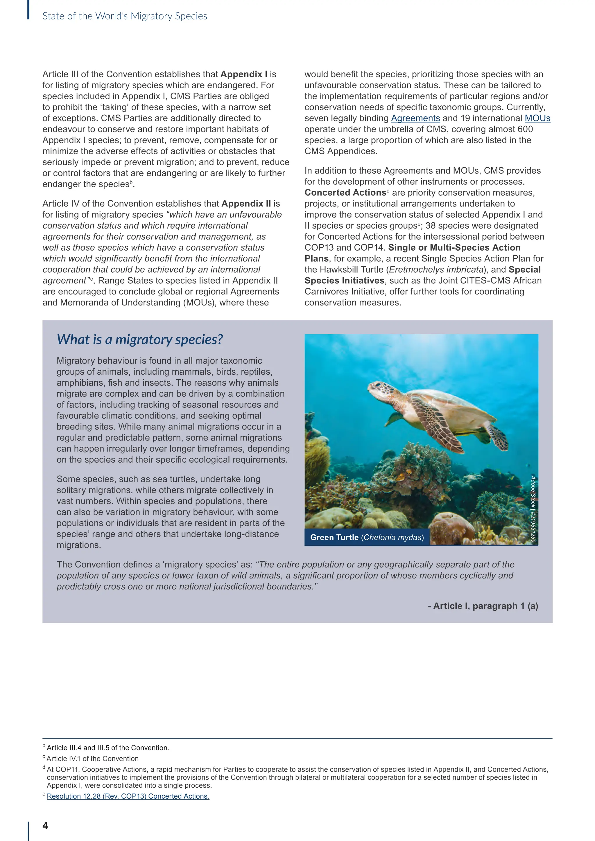 4
State of the World’s Migratory Species
Article III of the Convention establishes that Appendix I is
for listing of migratory species which are endangered. For
species included in Appendix I, CMS Parties are obliged
to prohibit the ‘taking’ of these species, with a narrow set
of exceptions. CMS Parties are additionally directed to
endeavour to conserve and restore important habitats of
Appendix I species; to prevent, remove, compensate for or
minimize the adverse effects of activities or obstacles that
seriously impede or prevent migration; and to prevent, reduce
or control factors that are endangering or are likely to further
endanger the speciesb
.
Article IV of the Convention establishes that Appendix II is
for listing of migratory species “which have an unfavourable
conservation status and which require international
agreements for their conservation and management, as
well as those species which have a conservation status
which would significantly benefit from the international
cooperation that could be achieved by an international
agreement”c
. Range States to species listed in Appendix II
are encouraged to conclude global or regional Agreements
and Memoranda of Understanding (MOUs), where these
would benefit the species, prioritizing those species with an
unfavourable conservation status. These can be tailored to
the implementation requirements of particular regions and/or
conservation needs of specific taxonomic groups. Currently,
seven legally binding Agreements and 19 international MOUs
operate under the umbrella of CMS, covering almost 600
species, a large proportion of which are also listed in the
CMS Appendices.
In addition to these Agreements and MOUs, CMS provides
for the development of other instruments or processes.
Concerted Actionsd
are priority conservation measures,
projects, or institutional arrangements undertaken to
improve the conservation status of selected Appendix I and
II species or species groupse
; 38 species were designated
for Concerted Actions for the intersessional period between
COP13 and COP14. Single or Multi-Species Action
Plans, for example, a recent Single Species Action Plan for
the Hawksbill Turtle (Eretmochelys imbricata), and Special
Species Initiatives, such as the Joint CITES-CMS African
Carnivores Initiative, offer further tools for coordinating
conservation measures.
What is a migratory species?
Migratory behaviour is found in all major taxonomic
groups of animals, including mammals, birds, reptiles,
amphibians, fish and insects. The reasons why animals
migrate are complex and can be driven by a combination
of factors, including tracking of seasonal resources and
favourable climatic conditions, and seeking optimal
breeding sites. While many animal migrations occur in a
regular and predictable pattern, some animal migrations
can happen irregularly over longer timeframes, depending
on the species and their specific ecological requirements.
Some species, such as sea turtles, undertake long
solitary migrations, while others migrate collectively in
vast numbers. Within species and populations, there
can also be variation in migratory behaviour, with some
populations or individuals that are resident in parts of the
species’ range and others that undertake long-distance
migrations.
The Convention defines a ‘migratory species’ as: “The entire population or any geographically separate part of the
population of any species or lower taxon of wild animals, a significant proportion of whose members cyclically and
predictably cross one or more national jurisdictional boundaries.”
- Article I, paragraph 1 (a)
b

Article III.4 and III.5 of the Convention.
c
Article IV.1 of the Convention
d

At COP11, Cooperative Actions, a rapid mechanism for Parties to cooperate to assist the conservation of species listed in Appendix II, and Concerted Actions,
conservation initiatives to implement the provisions of the Convention through bilateral or multilateral cooperation for a selected number of species listed in
Appendix I, were consolidated into a single process.
e
Resolution 12.28 (Rev. COP13) Concerted Actions.
Green Turtle (Chelonia mydas)
Adobe
Stock
|
#219631259
 