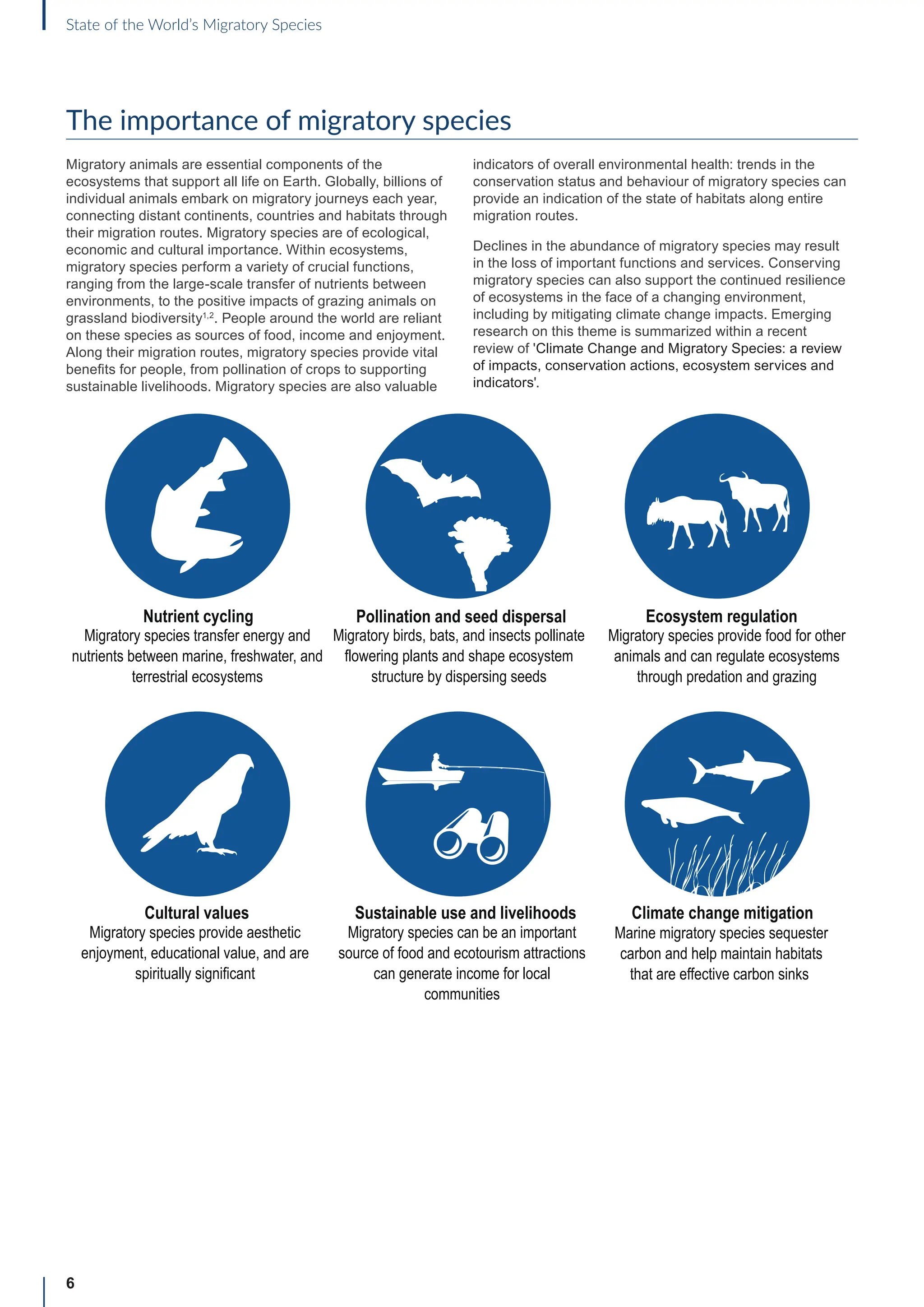 6
State of the World’s Migratory Species
The importance of migratory species
Migratory animals are essential components of the
ecosystems that support all life on Earth. Globally, billions of
individual animals embark on migratory journeys each year,
connecting distant continents, countries and habitats through
their migration routes. Migratory species are of ecological,
economic and cultural importance. Within ecosystems,
migratory species perform a variety of crucial functions,
ranging from the large-scale transfer of nutrients between
environments, to the positive impacts of grazing animals on
grassland biodiversity1,2
. People around the world are reliant
on these species as sources of food, income and enjoyment.
Along their migration routes, migratory species provide vital
benefits for people, from pollination of crops to supporting
sustainable livelihoods. Migratory species are also valuable
indicators of overall environmental health: trends in the
conservation status and behaviour of migratory species can
provide an indication of the state of habitats along entire
migration routes.
Declines in the abundance of migratory species may result
in the loss of important functions and services. Conserving
migratory species can also support the continued resilience
of ecosystems in the face of a changing environment,
including by mitigating climate change impacts. Emerging
research on this theme is summarized within a recent
review of 'Climate Change and Migratory Species: a review
of impacts, conservation actions, ecosystem services and
indicators'.
Nutrient cycling
Cultural values
Pollination and seed dispersal
Migratory birds, bats, and insects pollinate
flowering plants and shape ecosystem
structure by dispersing seeds
Migratory species transfer energy and
nutrients between marine, freshwater, and
terrestrial ecosystems
Migratory species provide aesthetic
enjoyment, educational value, and are
spiritually significant
Ecosystem regulation
Sustainable use and livelihoods
Migratory species provide food for other
animals and can regulate ecosystems
through predation and grazing
Migratory species can be an important
source of food and ecotourism attractions
can generate income for local
communities
Climate change mitigation
Marine migratory species sequester
carbon and help maintain habitats
that are effective carbon sinks
 