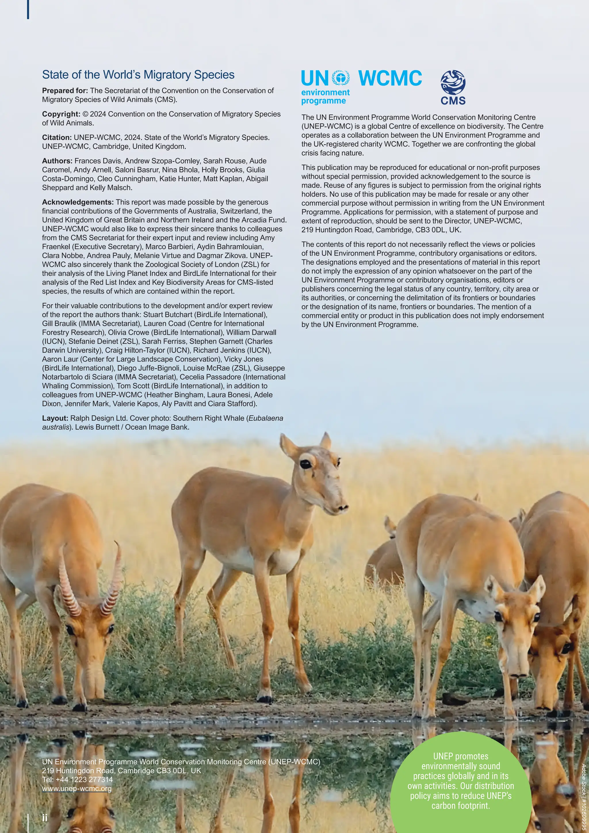 ii
UNEP promotes
environmentally sound
practices globally and in its
own activities. Our distribution
policy aims to reduce UNEP’s
carbon footprint.
State of the World’s Migratory Species
Prepared for: The Secretariat of the Convention on the Conservation of
Migratory Species of Wild Animals (CMS).
Copyright: © 2024 Convention on the Conservation of Migratory Species
of Wild Animals.
Citation: UNEP-WCMC, 2024. State of the World’s Migratory Species.
UNEP-WCMC, Cambridge, United Kingdom.
Authors: Frances Davis, Andrew Szopa-Comley, Sarah Rouse, Aude
Caromel, Andy Arnell, Saloni Basrur, Nina Bhola, Holly Brooks, Giulia
Costa-Domingo, Cleo Cunningham, Katie Hunter, Matt Kaplan, Abigail
Sheppard and Kelly Malsch.
Acknowledgements: This report was made possible by the generous
financial contributions of the Governments of Australia, Switzerland, the
United Kingdom of Great Britain and Northern Ireland and the Arcadia Fund.
UNEP-WCMC would also like to express their sincere thanks to colleagues
from the CMS Secretariat for their expert input and review including Amy
Fraenkel (Executive Secretary), Marco Barbieri, Aydin Bahramlouian,
Clara Nobbe, Andrea Pauly, Melanie Virtue and Dagmar Zikova. UNEP-
WCMC also sincerely thank the Zoological Society of London (ZSL) for
their analysis of the Living Planet Index and BirdLife International for their
analysis of the Red List Index and Key Biodiversity Areas for CMS-listed
species, the results of which are contained within the report.
For their valuable contributions to the development and/or expert review
of the report the authors thank: Stuart Butchart (BirdLife International),
Gill Braulik (IMMA Secretariat), Lauren Coad (Centre for International
Forestry Research), Olivia Crowe (BirdLife International), William Darwall
(IUCN), Stefanie Deinet (ZSL), Sarah Ferriss, Stephen Garnett (Charles
Darwin University), Craig Hilton-Taylor (IUCN), Richard Jenkins (IUCN),
Aaron Laur (Center for Large Landscape Conservation), Vicky Jones
(BirdLife International), Diego Juffe-Bignoli, Louise McRae (ZSL), Giuseppe
Notarbartolo di Sciara (IMMA Secretariat), Cecelia Passadore (International
Whaling Commission), Tom Scott (BirdLife International), in addition to
colleagues from UNEP-WCMC (Heather Bingham, Laura Bonesi, Adele
Dixon, Jennifer Mark, Valerie Kapos, Aly Pavitt and Ciara Stafford).
Layout: Ralph Design Ltd. Cover photo: Southern Right Whale (Eubalaena
australis). Lewis Burnett / Ocean Image Bank.
The UN Environment Programme World Conservation Monitoring Centre
(UNEP-WCMC) is a global Centre of excellence on biodiversity. The Centre
operates as a collaboration between the UN Environment Programme and
the UK-registered charity WCMC. Together we are confronting the global
crisis facing nature.
This publication may be reproduced for educational or non-profit purposes
without special permission, provided acknowledgement to the source is
made. Reuse of any figures is subject to permission from the original rights
holders. No use of this publication may be made for resale or any other
commercial purpose without permission in writing from the UN Environment
Programme. Applications for permission, with a statement of purpose and
extent of reproduction, should be sent to the Director, UNEP-WCMC,
219 Huntingdon Road, Cambridge, CB3 0DL, UK.
The contents of this report do not necessarily reflect the views or policies
of the UN Environment Programme, contributory organisations or editors.
The designations employed and the presentations of material in this report
do not imply the expression of any opinion whatsoever on the part of the
UN Environment Programme or contributory organisations, editors or
publishers concerning the legal status of any country, territory, city area or
its authorities, or concerning the delimitation of its frontiers or boundaries
or the designation of its name, frontiers or boundaries. The mention of a
commercial entity or product in this publication does not imply endorsement
by the UN Environment Programme.
UN Environment Programme World Conservation Monitoring Centre (UNEP-WCMC)
219 Huntingdon Road, Cambridge CB3 0DL, UK
Tel: +44 1223 277314
www.unep-wcmc.org
Adobe
Stock
|
#102609995
 