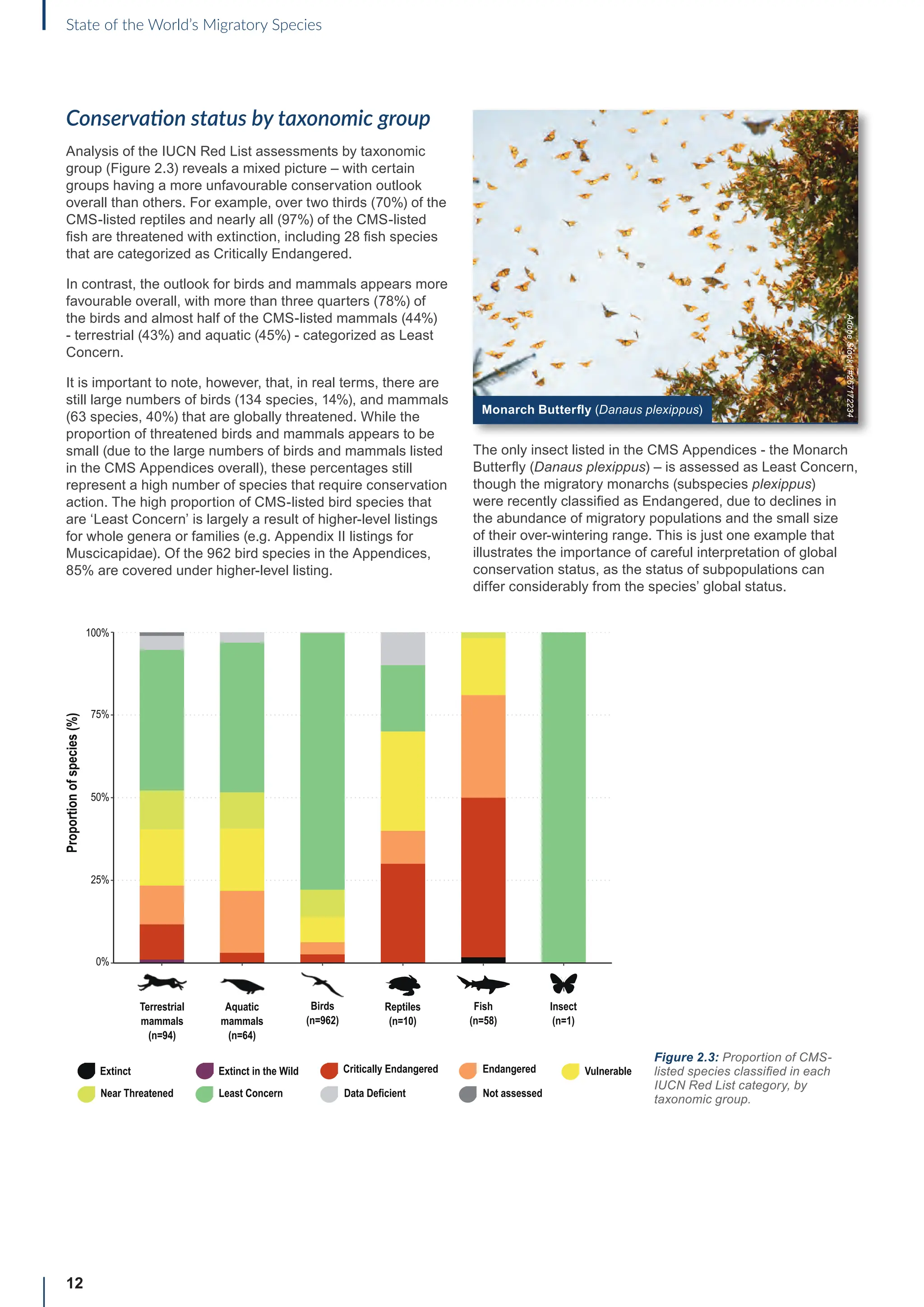12
State of the World’s Migratory Species
Conservation status by taxonomic group
Analysis of the IUCN Red List assessments by taxonomic
group (Figure 2.3) reveals a mixed picture – with certain
groups having a more unfavourable conservation outlook
overall than others. For example, over two thirds (70%) of the
CMS-listed reptiles and nearly all (97%) of the CMS-listed
fish are threatened with extinction, including 28 fish species
that are categorized as Critically Endangered.
In contrast, the outlook for birds and mammals appears more
favourable overall, with more than three quarters (78%) of
the birds and almost half of the CMS-listed mammals (44%)
- terrestrial (43%) and aquatic (45%) - categorized as Least
Concern.
It is important to note, however, that, in real terms, there are
still large numbers of birds (134 species, 14%), and mammals
(63 species, 40%) that are globally threatened. While the
proportion of threatened birds and mammals appears to be
small (due to the large numbers of birds and mammals listed
in the CMS Appendices overall), these percentages still
represent a high number of species that require conservation
action. The high proportion of CMS-listed bird species that
are ‘Least Concern’ is largely a result of higher-level listings
for whole genera or families (e.g. Appendix II listings for
Muscicapidae). Of the 962 bird species in the Appendices,
85% are covered under higher-level listing.
The only insect listed in the CMS Appendices - the Monarch
Butterfly (Danaus plexippus) – is assessed as Least Concern,
though the migratory monarchs (subspecies plexippus)
were recently classified as Endangered, due to declines in
the abundance of migratory populations and the small size
of their over-wintering range. This is just one example that
illustrates the importance of careful interpretation of global
conservation status, as the status of subpopulations can
differ considerably from the species’ global status.
75%
100%
50%
25%
Proportion
of
species
(%)
Extinct
Birds
(n=962)
Insect
(n=1)
Aquatic
mammals
(n=64)
Reptiles
(n=10)
Fish
(n=58)
Terrestrial
mammals
(n=94)
0%
Near Threatened Least Concern
Extinct in the Wild
Data Deficient
Critically Endangered Endangered
Not assessed
Vulnerable
Figure 2.3: Proportion of CMS-
listed species classified in each
IUCN Red List category, by
taxonomic group.
Monarch Butterfly (Danaus plexippus)
Adobe
Stock
|
#267172234
 