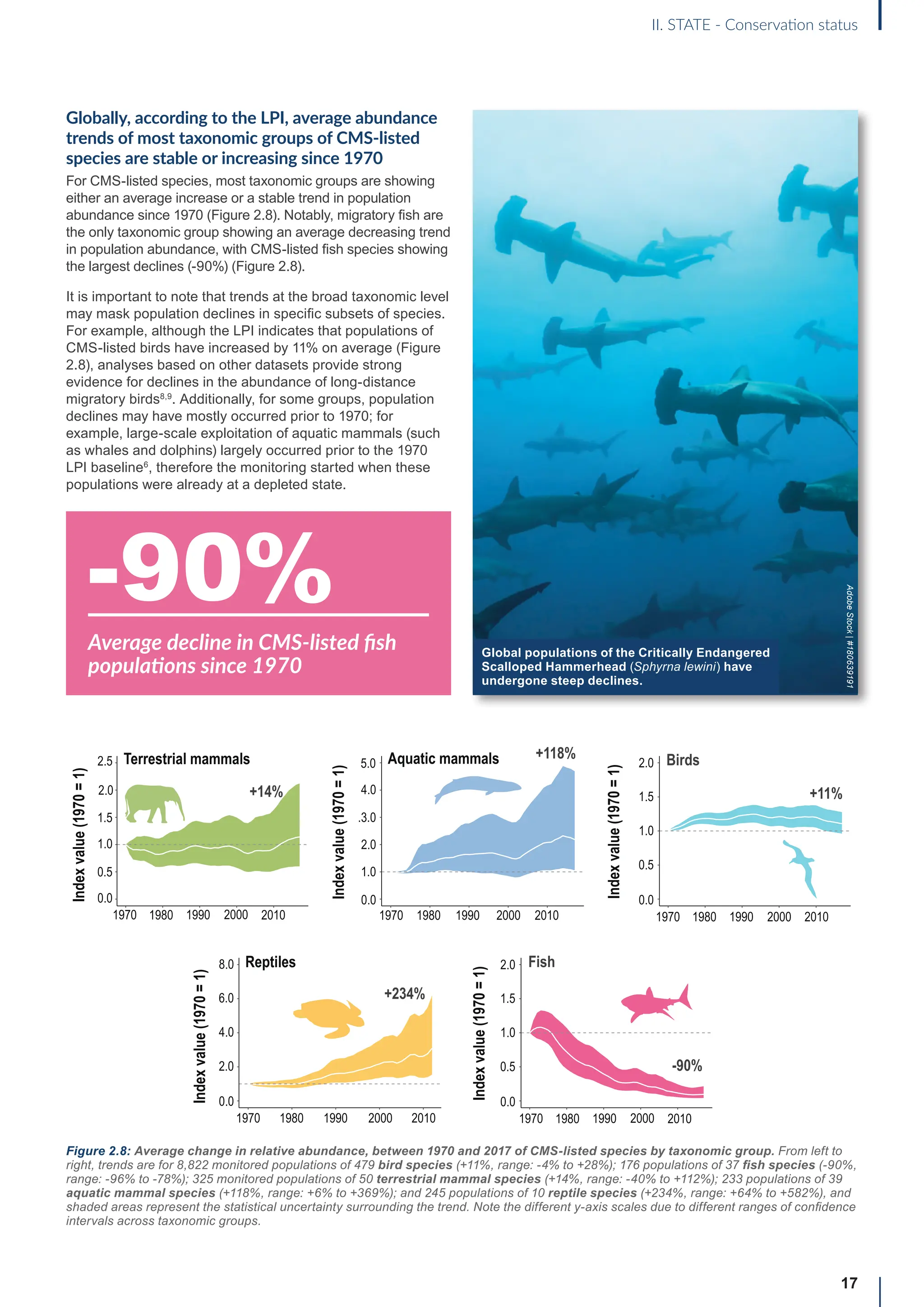 17
II. STATE - Conservation status
Birds
+11%
Index
value
(1970
=
1)
1970 1980 1990 2000 2010
2.0
1.5
1.0
0.5
0.0
Fish
-90%
1970 1980 1990 2000 2010
2.0
1.5
1.0
0.5
0.0
Index
value
(1970
=
1)
Terrestrial mammals
+14%
1970 1980 1990 2000 2010
2.5
1.5
1.0
0.5
0.0
2.0
Index
value
(1970
=
1)
Aquatic mammals +118%
1970 1980 1990 2000 2010
4.0
.3.0
2.0
1.0
0.0
5.0
Index
value
(1970
=
1)
Reptiles
+234%
1970 1980 1990 2000 2010
8.0
6.0
4.0
2.0
0.0
Index
value
(1970
=
1)
Globally, according to the LPI, average abundance
trends of most taxonomic groups of CMS-listed
species are stable or increasing since 1970
For CMS-listed species, most taxonomic groups are showing
either an average increase or a stable trend in population
abundance since 1970 (Figure 2.8). Notably, migratory fish are
the only taxonomic group showing an average decreasing trend
in population abundance, with CMS-listed fish species showing
the largest declines (-90%) (Figure 2.8).
It is important to note that trends at the broad taxonomic level
may mask population declines in specific subsets of species.
For example, although the LPI indicates that populations of
CMS-listed birds have increased by 11% on average (Figure
2.8), analyses based on other datasets provide strong
evidence for declines in the abundance of long-distance
migratory birds8,9
. Additionally, for some groups, population
declines may have mostly occurred prior to 1970; for
example, large-scale exploitation of aquatic mammals (such
as whales and dolphins) largely occurred prior to the 1970
LPI baseline6
, therefore the monitoring started when these
populations were already at a depleted state.
-90%
Average decline in CMS-listed fish
populations since 1970
Figure 2.8: Average change in relative abundance, between 1970 and 2017 of CMS-listed species by taxonomic group. From left to
right, trends are for 8,822 monitored populations of 479 bird species (+11%, range: -4% to +28%); 176 populations of 37 fish species (-90%,
range: -96% to -78%); 325 monitored populations of 50 terrestrial mammal species (+14%, range: -40% to +112%); 233 populations of 39
aquatic mammal species (+118%, range: +6% to +369%); and 245 populations of 10 reptile species (+234%, range: +64% to +582%), and
shaded areas represent the statistical uncertainty surrounding the trend. Note the different y-axis scales due to different ranges of confidence
intervals across taxonomic groups.
Global populations of the Critically Endangered
Scalloped Hammerhead (Sphyrna lewini) have
undergone steep declines.
Adobe
Stock
|
#180639191
 