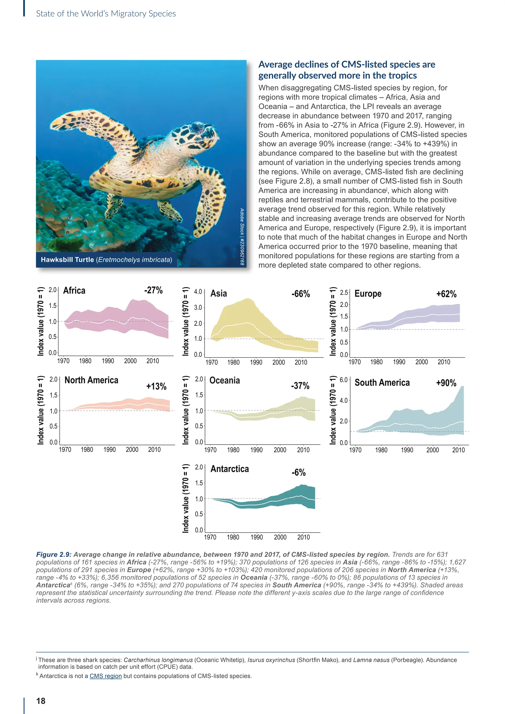 18
State of the World’s Migratory Species
Figure 2.9: Average change in relative abundance, between 1970 and 2017, of CMS-listed species by region. Trends are for 631
populations of 161 species in Africa (-27%, range -56% to +19%); 370 populations of 126 species in Asia (-66%, range -86% to -15%); 1,627
populations of 291 species in Europe (+62%, range +30% to +103%); 420 monitored populations of 206 species in North America (+13%,
range -4% to +33%); 6,356 monitored populations of 52 species in Oceania (-37%, range -60% to 0%); 86 populations of 13 species in
Antarcticak
(6%, range -34% to +35%); and 270 populations of 74 species in South America (+90%, range -34% to +439%). Shaded areas
represent the statistical uncertainty surrounding the trend. Please note the different y-axis scales due to the large range of confidence
intervals across regions.
North America
+13%
Oceania
-37% South America +90%
Europe +62%
Asia -66%
Antarctica -6%
Africa -27%
1970 1980 1990 2000 2010
1970 1980 1990 2000 2010
1970 1980 1990 2000 2010
1970 1980 1990 2000 2010
1970 1980 1990 2000 2010 1970 1980 1990 2000 2010
1970 1980 1990 2000 2010
Index
value
(1970
=
1)
Index
value
(1970
=
1)
Index
value
(1970
=
1)
Index
value
(1970
=
1)
Index
value
(1970
=
1)
Index
value
(1970
=
1)
Index
value
(1970
=
1)
2.0
1.5
1.0
0.5
0.0
2.0
1.5
1.0
0.5
0.0
2.0
1.5
1.0
0.5
0.0
2.0
1.5
1.0
0.5
0.0
2.0
1.5
1.0
0.5
0.0
2.5
6.0
4.0
2.0
0.0
4.0
3.0
2.0
1.0
0.0
j

These are three shark species: Carcharhinus longimanus (Oceanic Whitetip), Isurus oxyrinchus (Shortfin Mako), and Lamna nasus (Porbeagle). Abundance
information is based on catch per unit effort (CPUE) data.
k
Antarctica is not a CMS region but contains populations of CMS-listed species.
Hawksbill Turtle (Eretmochelys imbricata)
Average declines of CMS-listed species are
generally observed more in the tropics
When disaggregating CMS-listed species by region, for
regions with more tropical climates – Africa, Asia and
Oceania – and Antarctica, the LPI reveals an average
decrease in abundance between 1970 and 2017, ranging
from -66% in Asia to -27% in Africa (Figure 2.9). However, in
South America, monitored populations of CMS-listed species
show an average 90% increase (range: -34% to +439%) in
abundance compared to the baseline but with the greatest
amount of variation in the underlying species trends among
the regions. While on average, CMS-listed fish are declining
(see Figure 2.8), a small number of CMS-listed fish in South
America are increasing in abundancej
, which along with
reptiles and terrestrial mammals, contribute to the positive
average trend observed for this region. While relatively
stable and increasing average trends are observed for North
America and Europe, respectively (Figure 2.9), it is important
to note that much of the habitat changes in Europe and North
America occurred prior to the 1970 baseline, meaning that
monitored populations for these regions are starting from a
more depleted state compared to other regions.
Adobe
Stock
|
#230962168
 