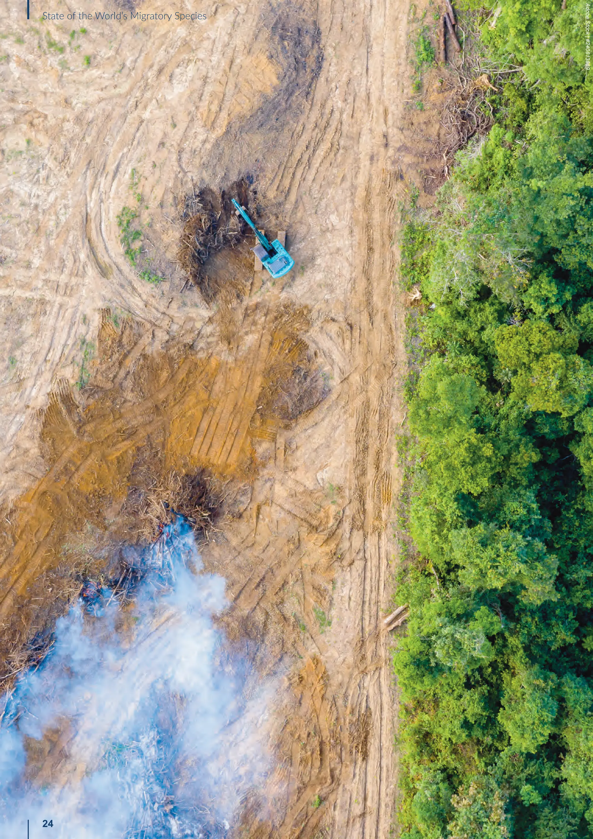 Adobe
Stock
|
#240813889
24
State of the World’s Migratory Species
 