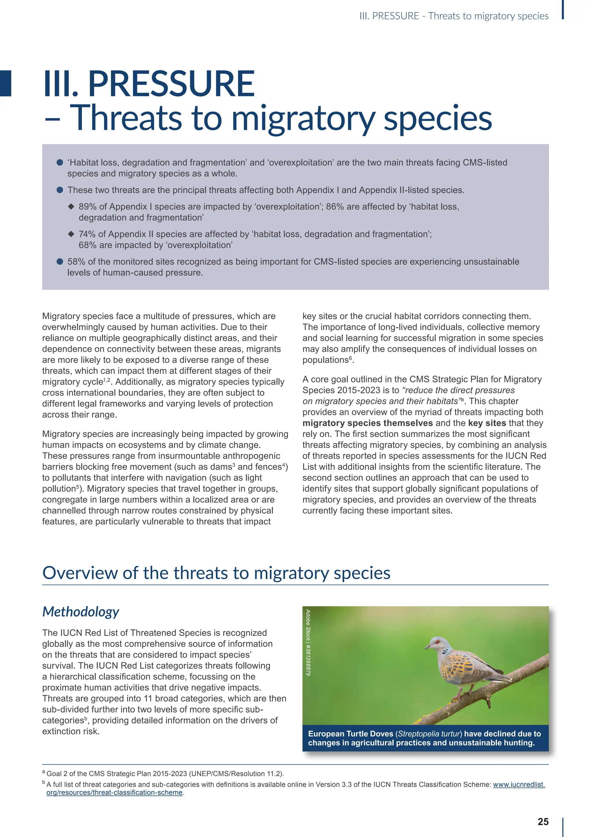 25
III. PRESSURE
– Threats to migratory species
Migratory species face a multitude of pressures, which are
overwhelmingly caused by human activities. Due to their
reliance on multiple geographically distinct areas, and their
dependence on connectivity between these areas, migrants
are more likely to be exposed to a diverse range of these
threats, which can impact them at different stages of their
migratory cycle1,2
. Additionally, as migratory species typically
cross international boundaries, they are often subject to
different legal frameworks and varying levels of protection
across their range.
Migratory species are increasingly being impacted by growing
human impacts on ecosystems and by climate change.
These pressures range from insurmountable anthropogenic
barriers blocking free movement (such as dams3
and fences4
)
to pollutants that interfere with navigation (such as light
pollution5
). Migratory species that travel together in groups,
congregate in large numbers within a localized area or are
channelled through narrow routes constrained by physical
features, are particularly vulnerable to threats that impact
key sites or the crucial habitat corridors connecting them.
The importance of long-lived individuals, collective memory
and social learning for successful migration in some species
may also amplify the consequences of individual losses on
populations6
.
A core goal outlined in the CMS Strategic Plan for Migratory
Species 2015-2023 is to “reduce the direct pressures
on migratory species and their habitats”a
. This chapter
provides an overview of the myriad of threats impacting both
migratory species themselves and the key sites that they
rely on. The first section summarizes the most significant
threats affecting migratory species, by combining an analysis
of threats reported in species assessments for the IUCN Red
List with additional insights from the scientific literature. The
second section outlines an approach that can be used to
identify sites that support globally significant populations of
migratory species, and provides an overview of the threats
currently facing these important sites.
Overview of the threats to migratory species
Methodology
The IUCN Red List of Threatened Species is recognized
globally as the most comprehensive source of information
on the threats that are considered to impact species’
survival. The IUCN Red List categorizes threats following
a hierarchical classification scheme, focussing on the
proximate human activities that drive negative impacts.
Threats are grouped into 11 broad categories, which are then
sub-divided further into two levels of more specific sub-
categoriesb
, providing detailed information on the drivers of
extinction risk.
III. PRESSURE - Threats to migratory species
l ‘Habitat loss, degradation and fragmentation’ and ‘overexploitation’ are the two main threats facing CMS-listed
species and migratory species as a whole.
l These two threats are the principal threats affecting both Appendix I and Appendix II-listed species.
◆	
89% of Appendix I species are impacted by ‘overexploitation’; 86% are affected by ‘habitat loss,
degradation and fragmentation’
◆	
74% of Appendix II species are affected by ‘habitat loss, degradation and fragmentation’;
68% are impacted by ‘overexploitation’
l 58% of the monitored sites recognized as being important for CMS-listed species are experiencing unsustainable
levels of human-caused pressure.
a
Goal 2 of the CMS Strategic Plan 2015-2023 (UNEP/CMS/Resolution 11.2).
b

A full list of threat categories and sub-categories with definitions is available online in Version 3.3 of the IUCN Threats Classification Scheme: www.iucnredlist.
org/resources/threat-classification-scheme.
European Turtle Doves (Streptopelia turtur) have declined due to
changes in agricultural practices and unsustainable hunting.
Adobe
Stock
|
#361266879
 